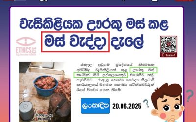 නීතියට පෙර වැරදිකරුවන් කිරීමක්?