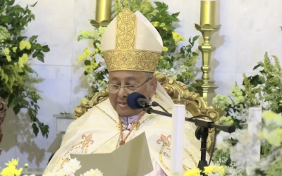 Culture concurs with cardinal criticism of sexual orientation